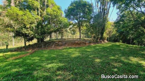 Lote en venta en quizarrá, Pérez Zeledón. 