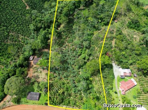 Terreno en venta en Costa Rica: ¡2 hectáreas cerca de RISE! 