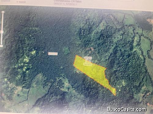 SE VENDE BELLA FINCA EN SIERPE DE OSA. 