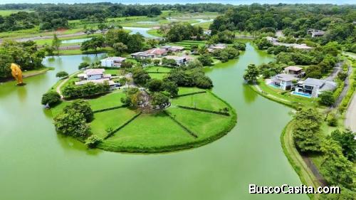 HERMOSOS LOTES EN VENTA EN EL CORAZÓN DE MISTICO, PLAYA HERMOSA, JACÓ 