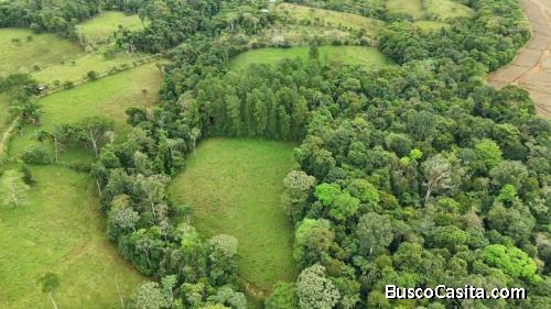 Beautiful land for sale in the heart of San Francisco de cajón.