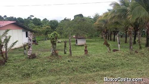 Lote en venta en Colonia de Upala