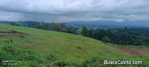 SE VENDE BELLA Y ÚTIL FINCA MULTIUSO EN PITTIER, COTO BRUS. 