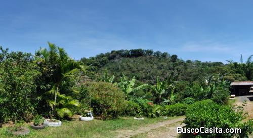 SE VENDE BELLA PROPIEDAD Y CABAÑA EN PURISCAL. 