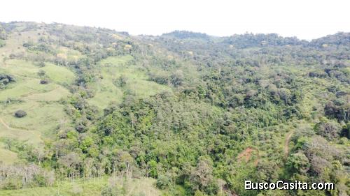 Más de 500 acres en Barú, Pérez Zeledón, Costa Rica.