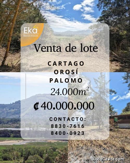 Se Vende Finca de 24.000 m² en Palomo, Orosí, Cartago 