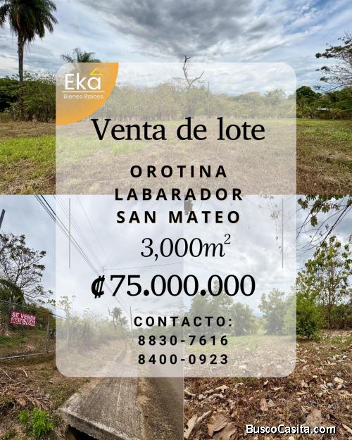 VENDO LOTE EN OROTINA . Labrador, San Mateo.