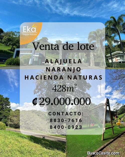 ¡Se vende Lote en Alajuela, Naranjo!