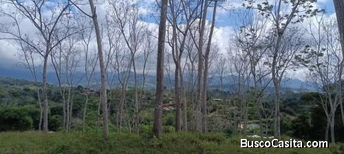 ESPECTACULAR PROPIEDAD EN VILLA NUEVA DE PÉREZ ZELEDÓN. 