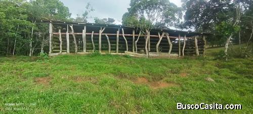 SE VENDE ESPECTACULAR FINCA EN COTO BRUS, PUNTARENAS. 