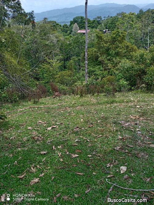 DE OPORTUNIDAD BELLA Y ÚTIL FINCA EN VALLE LA ESTRELLA. 