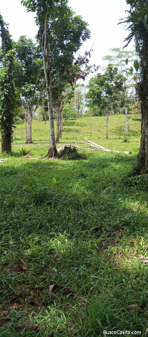 DE OPORTUNIDAD BELLA FINCA EN SAN JOSÉ DE UPALA. 