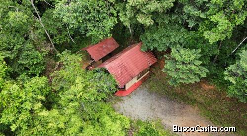 LOTE DE 60Ha, CON CASCADAS Y RICA BIODIVERSIDAD, COSTA RICA.
