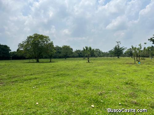 SE VENDE BELLA FINCA EN SAN RAFAEL DE GUÁPILES. 