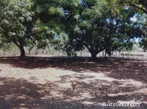 SE VENDE BELLA PROPIEDAD EN LAGUNILLAS DE GARABITO. 