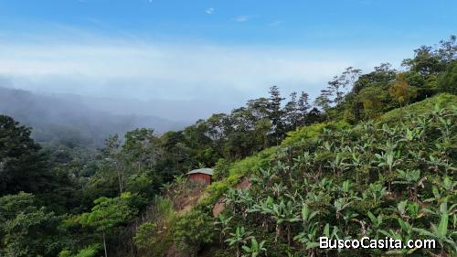 LOTE EN RIVAS, COSTA RICA CON QUEBRADA Y VISTAS.