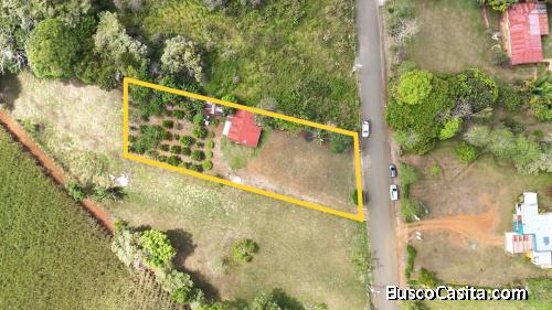 LOTE(1.800 m²)CON ARBOLES FRUTALES,UBICADO EN LA CENIZA, PZ.