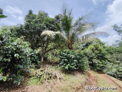 LOTE EN VENTA EN COSTA RICA NATURALEZA Y PRIVACIDAD