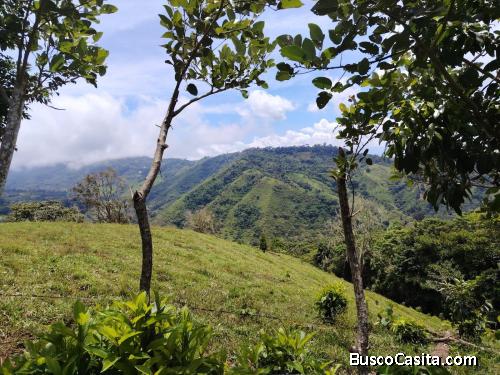 TERRENO EN VENTA EN COSTA RICA PRIVADO Y CON CLIMA IDEAL