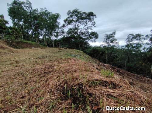 COSTA RICA TERRENO CON PLUSVALÍA EN SANTA CRUZ