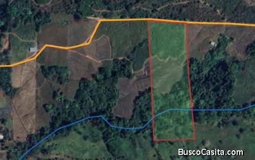2.5HECT CON CLIMA FRESCO, EN GENERAL VIEJO,PÉREZ ZELEDÓN.