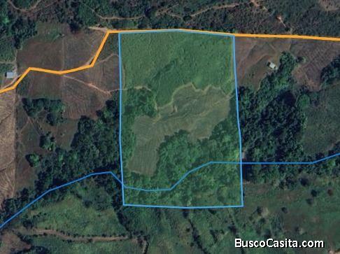 SE VENDE FINCA DE TIERRA FERTIL EN GENERAL VIEJO,PÉREZ Z.