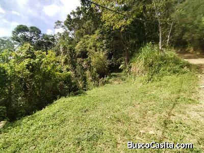 SE VENDE LOTE CON GRAN PRIVACIDAD, EN RIVAS COSTA RICA, PZ.