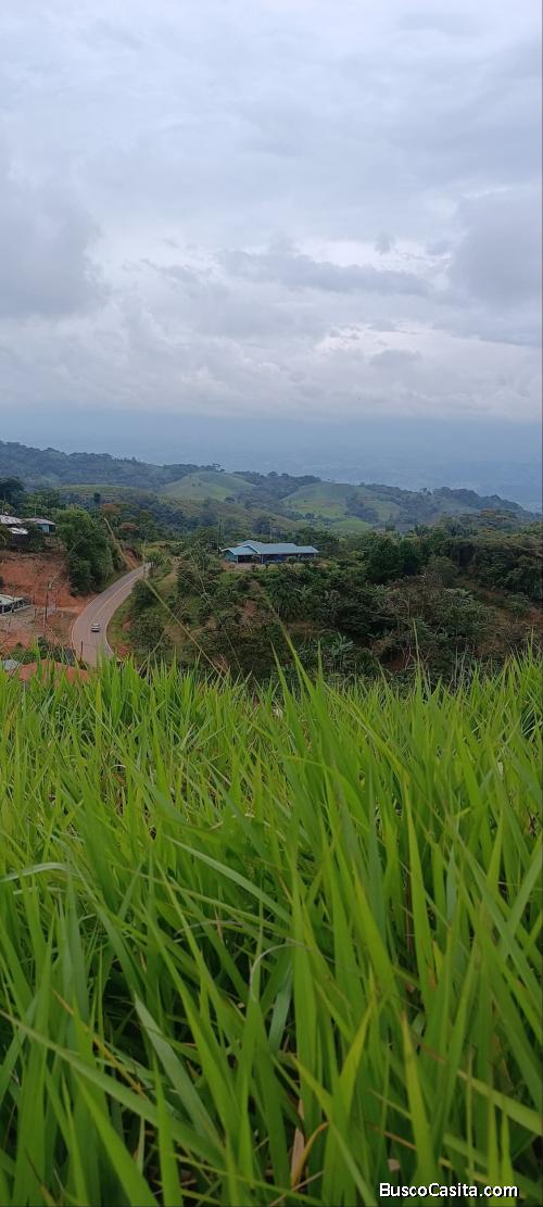 DE OPORTUNIDAD BELLA FINCA EN LIMÓN CITO, COTO BRUS. 