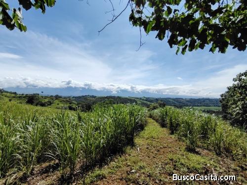 EN VENTA-PARAÍSO DE 205.799M²A LA ORILLA DEL RÍO, COSTA RICA