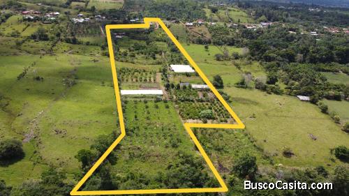 FINCA EN VENTA PÉREZ ZELEDÓN, COSTA RICA