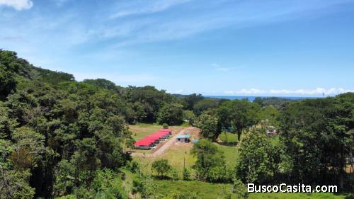 LOTE EN VENTA- PUNTARENAS,COSTA RICA-VISTA AL MAR Y NATURALEZA