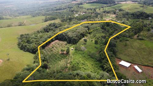 FINCA 5.5HA CON 2 CASAS Y AGUA TODO EL AÑO-PZ,COSTA RICA.
