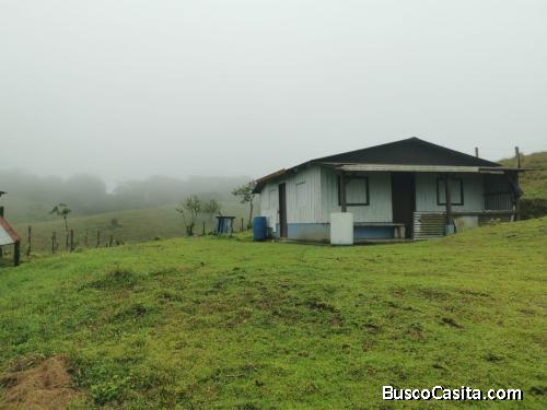 SE VENDE BELLA FINCA ENTRE FORTUNA Y ARENAL. 