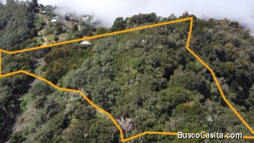 FINCA 2.7HA CON CABAÑA, VISTA AL MAR Y BOSQUE PÉREZ ZELEDÓN
