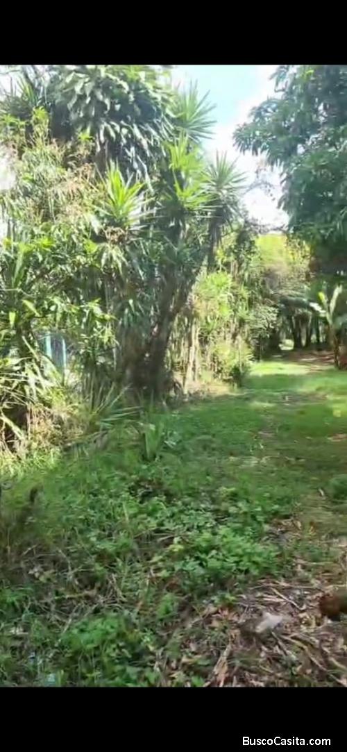 SE VENDEN 2 BELLÍSIMAS PROPIEDADES EN DESAMPARADOS, SAN JOSÉ. 