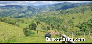 Venta de Hermosa Finca en La Suiza de Turrialba  Mls. 25-770 OFC JB