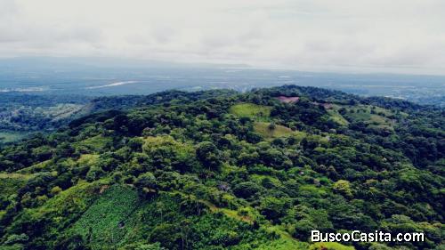 SE VENDE FINCA DE 42 HECTÁREAS EN OSA CON HERMOSAS VISTAS.