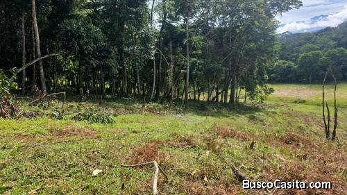 Lote en Pavones