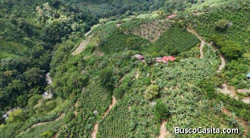 VENTA DE FINCA AGRÍCOLA EN PÁRAMO, PÉREZ ZELEDÓN