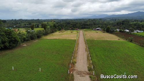 DE OPORTUNIDAD QUINTAS EN LA FORTUNA DE SAN CARLOS. 