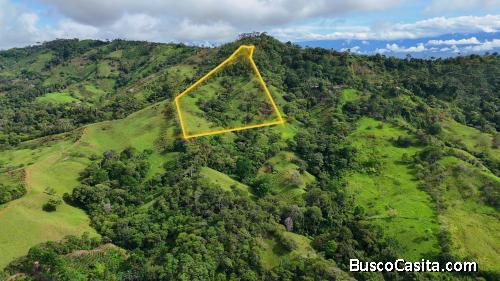 EN VENTA – 9.3 HECTÁREAS EN PLATANARES, PÉREZ ZELEDÓN, COSTA RICA