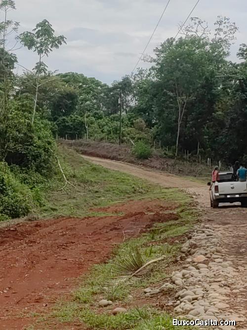 VENDO FINCA DE 232 HECTAREAS 