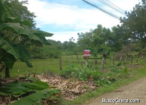 VENTA DE LOTE MIXTO SEGREGABLE, PUNTARENAS, OSA, BAHÍA BALLENA 