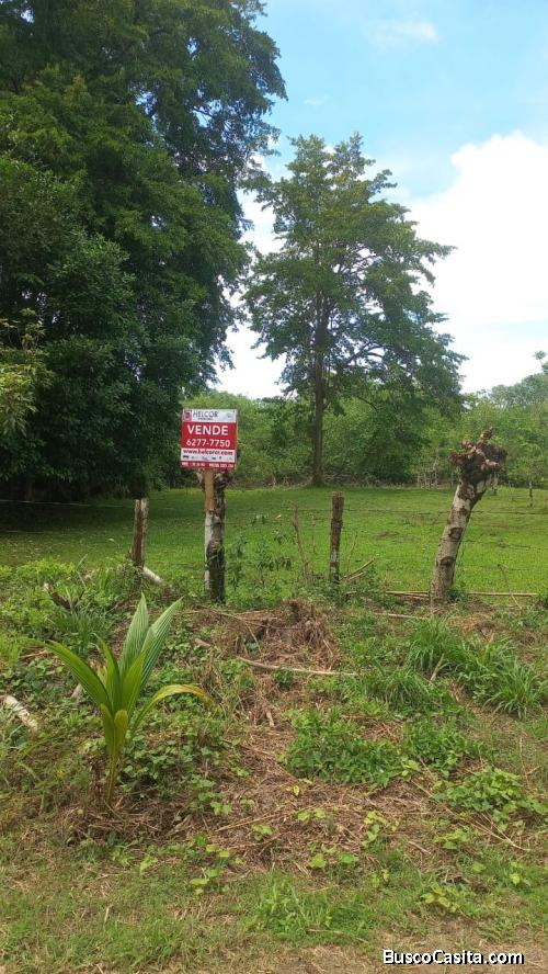 VENTA DE LOTE MIXTO SEGREGABLE, PUNTARENAS, OSA, BAHÍA BALLENA - 9496379