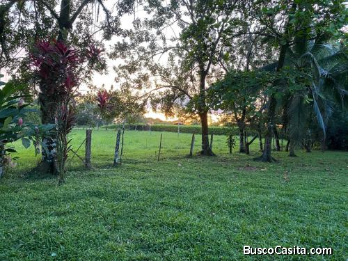 VENTA DE FINCA CON CASA, HEREDIA, SARAPIQUÍ, LA VIRGEN - 9498020