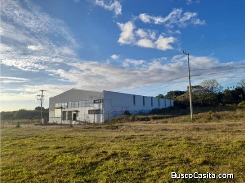 ALQUILER DE BODEGA, HEREDIA, SANTA BARBARA - 7535193 