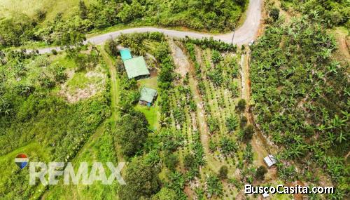 HERMOSA FINCA CAFETALERA EN VENTA EN LA ESE DE PÁRAMO, PÉREZ ZELEDÓN