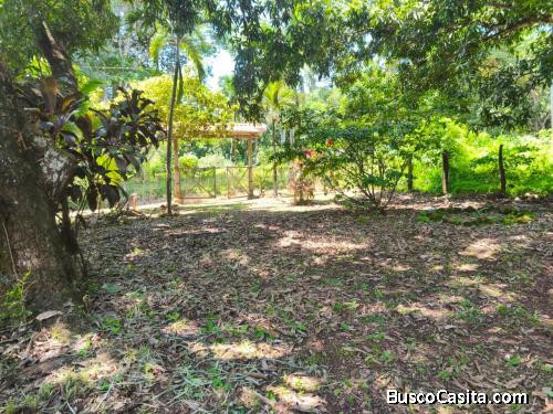 VENTA DE LOTE, USO MIXTO, ALAJUELA, OROTINA, SANTA RITA 9548829