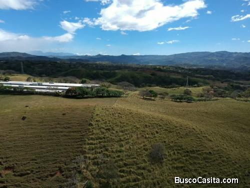 SE VENDE BELLEZA DE FINCA EN ALAJUELA. 