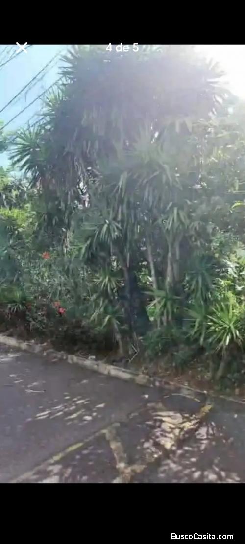 VENDO TERRENO INDUSTRIAL EN DESAMPARADOS, SAN JOSÉ. 